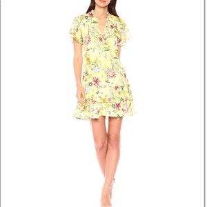 🙏🏻ISO🙏🏻 Parker Natalie Dress Spring Sangria